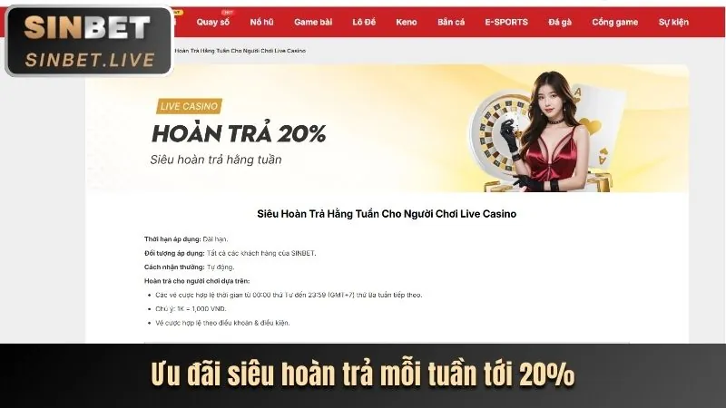 Dealer trực tiếp tại Live Casino 181bet Code
